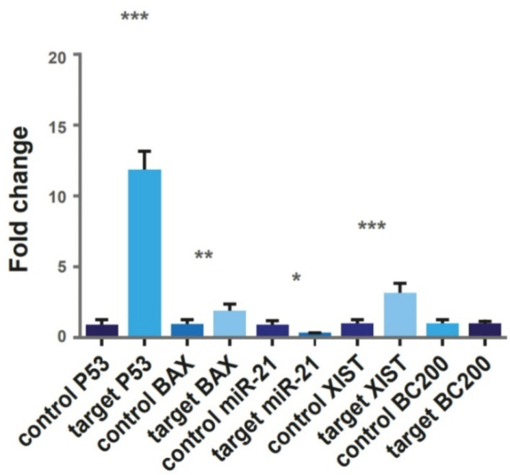 Fig. 2c: