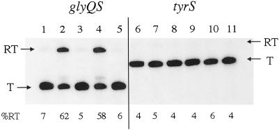 Fig 3.