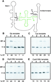 Fig 4.