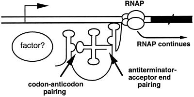 Fig 1.