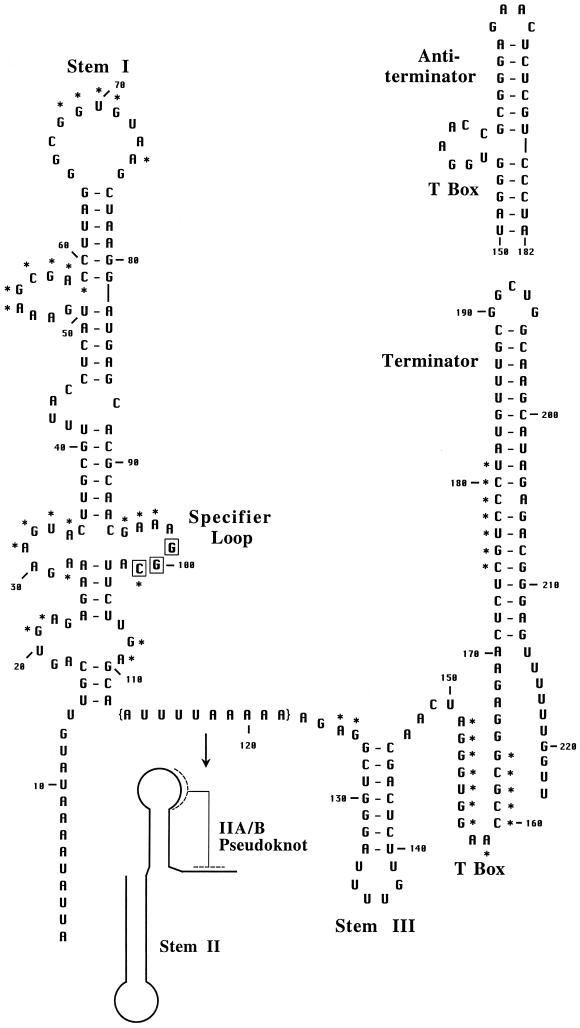 Fig 2.