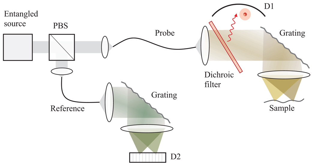 Fig. 3