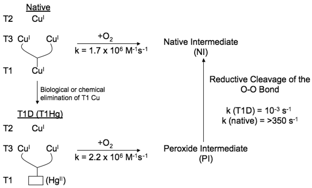 Fig. 18