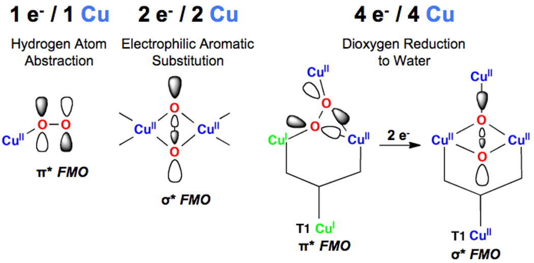 Fig. 26