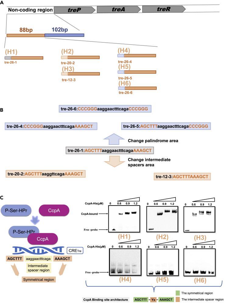 Figure 2