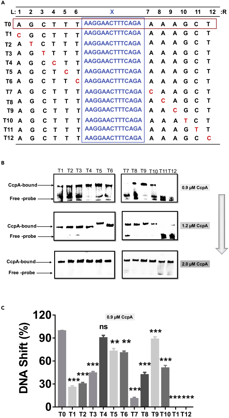 Figure 3