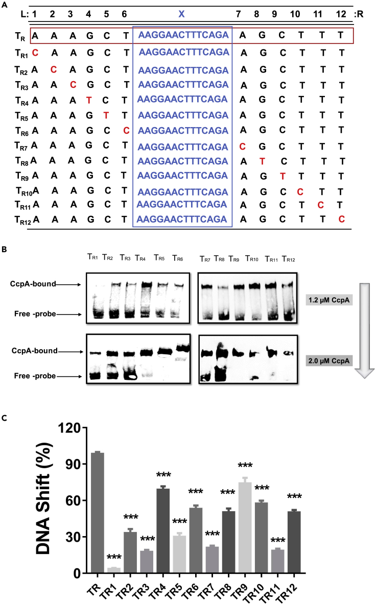 Figure 6