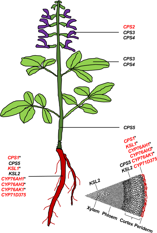 Figure 3.