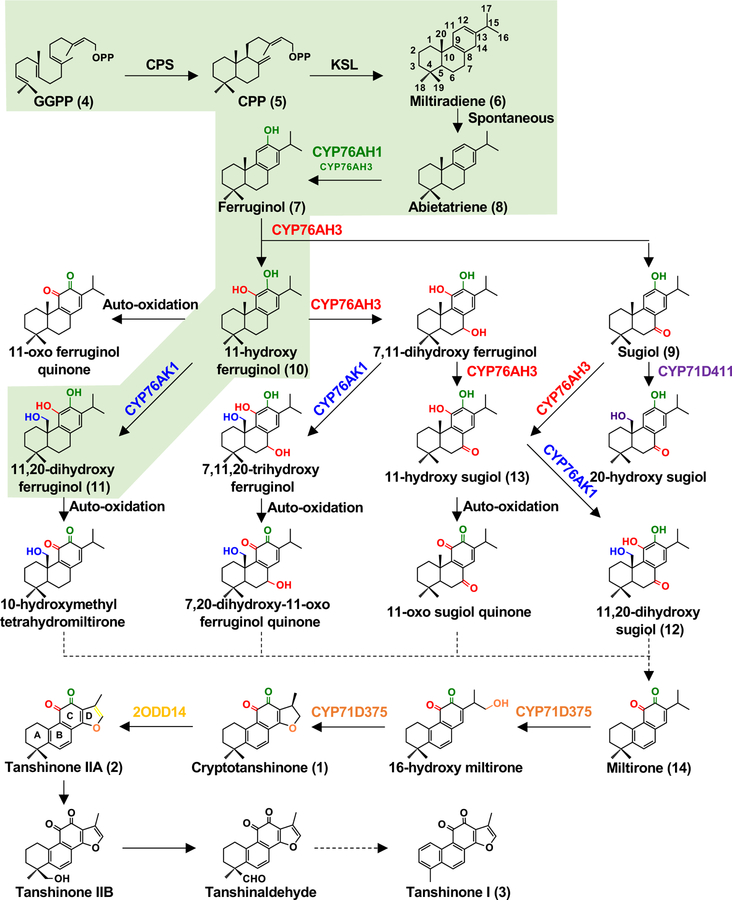 Figure 4.