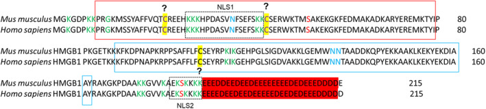 FIGURE 1