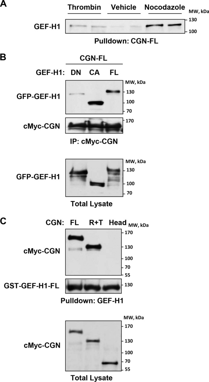 FIGURE 6.