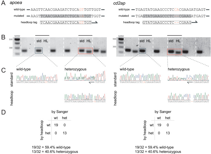 Figure 3—figure supplement 2.