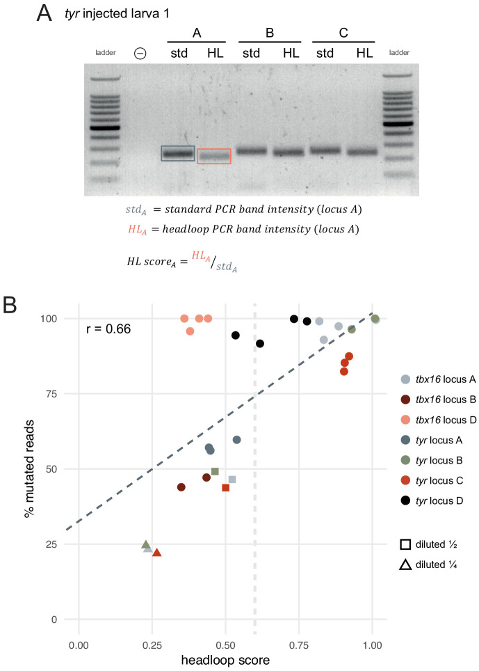 Figure 3—figure supplement 1.