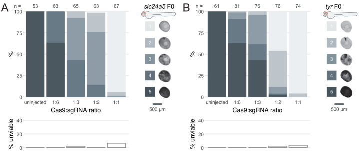 Figure 1—figure supplement 1.