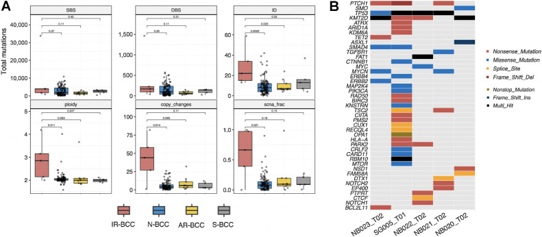 Figure 2. Genomic analysis of the five IR-BCC cases. A, Total number of different classes of mutations (SBS, single-base substitutions; DBS, double-base substitutions; ID, indels) and copy-number alterations (ploidy, average genomic ploidy; copy changes, number of copy-number alteration events longer than 5 Mb; scna_frac, fraction of autosomal regions which is different from diploid state) compared between IR-BCC and N-BCC, AR-BCC, or S-BCC. Significance of comparisons measured by two-sided Mann–Whitney U test is indicated. B, Oncoplot for oncogenic and likely oncogenic mutations identified in IR-BCC samples according to the OncoKB database.