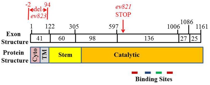 Fig 5