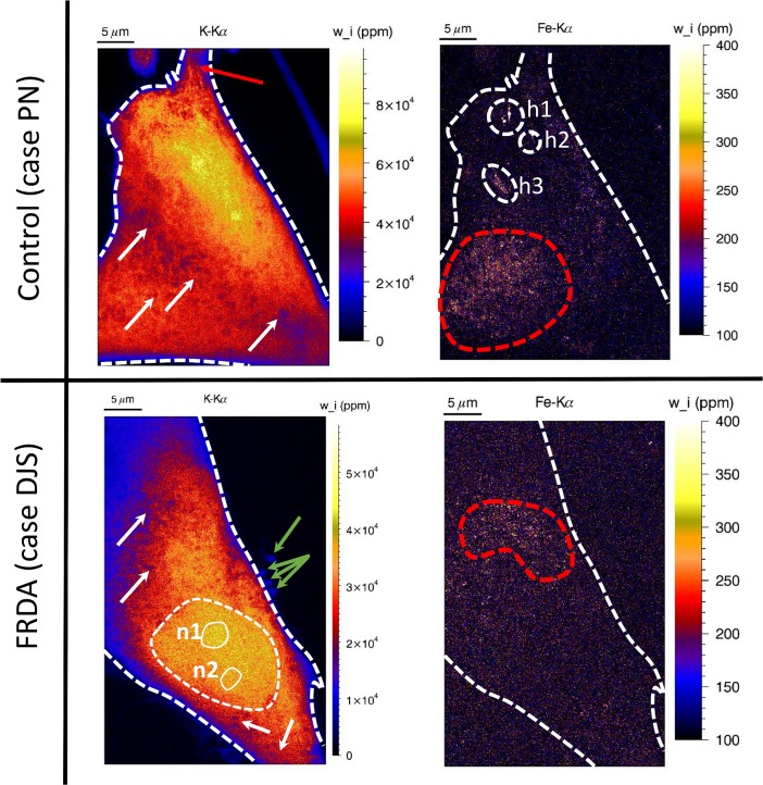 Fig 2