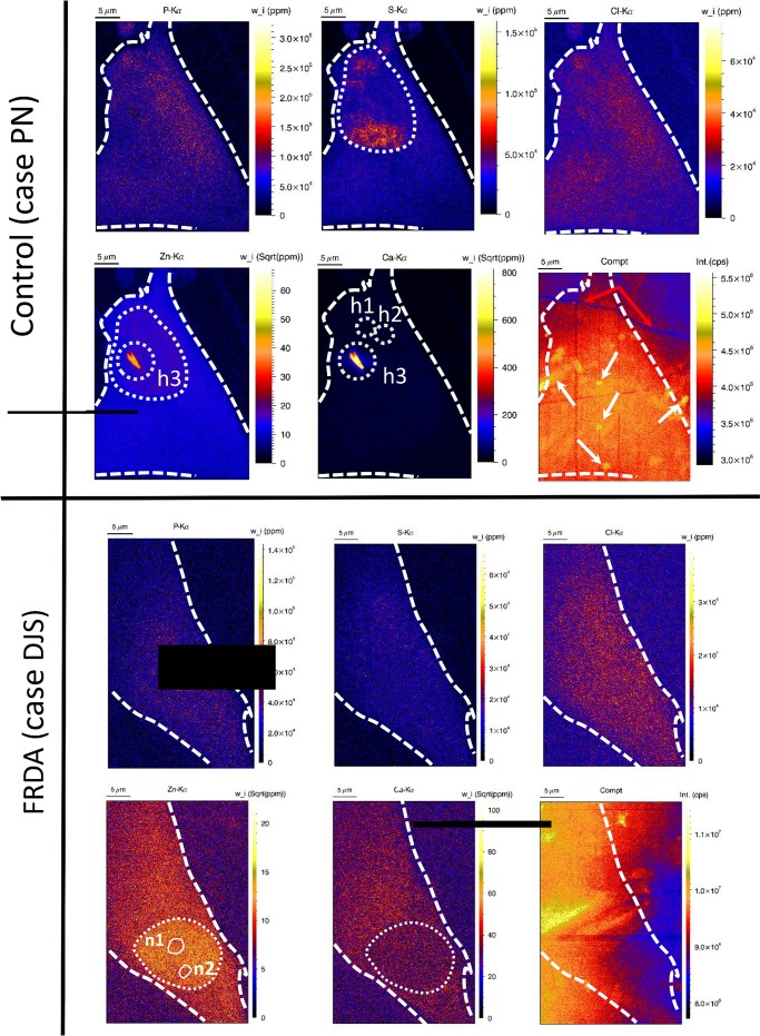 Fig 3