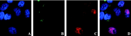 FIG. 6.