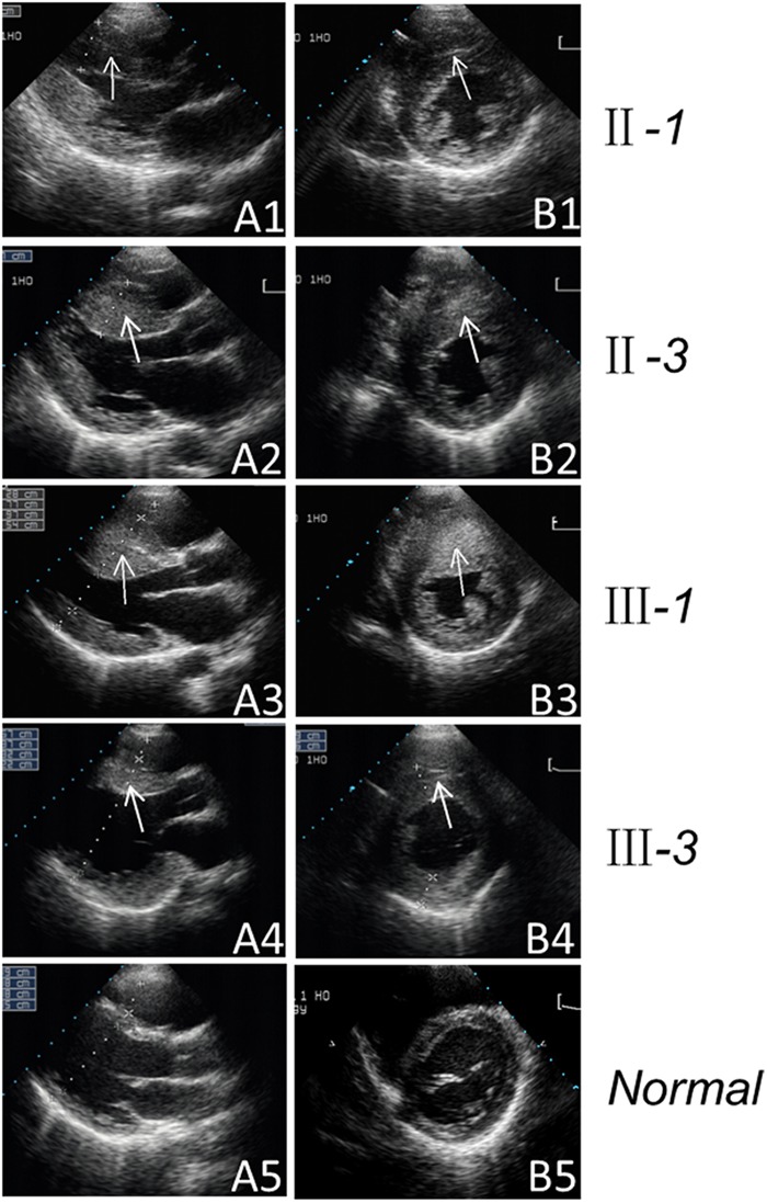 Figure 2