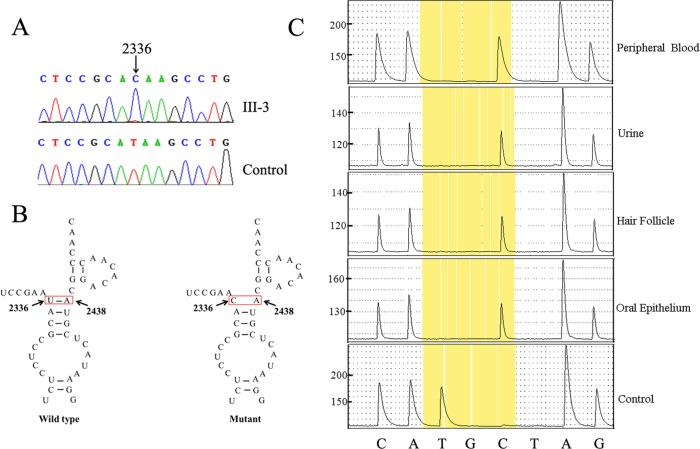 Figure 3