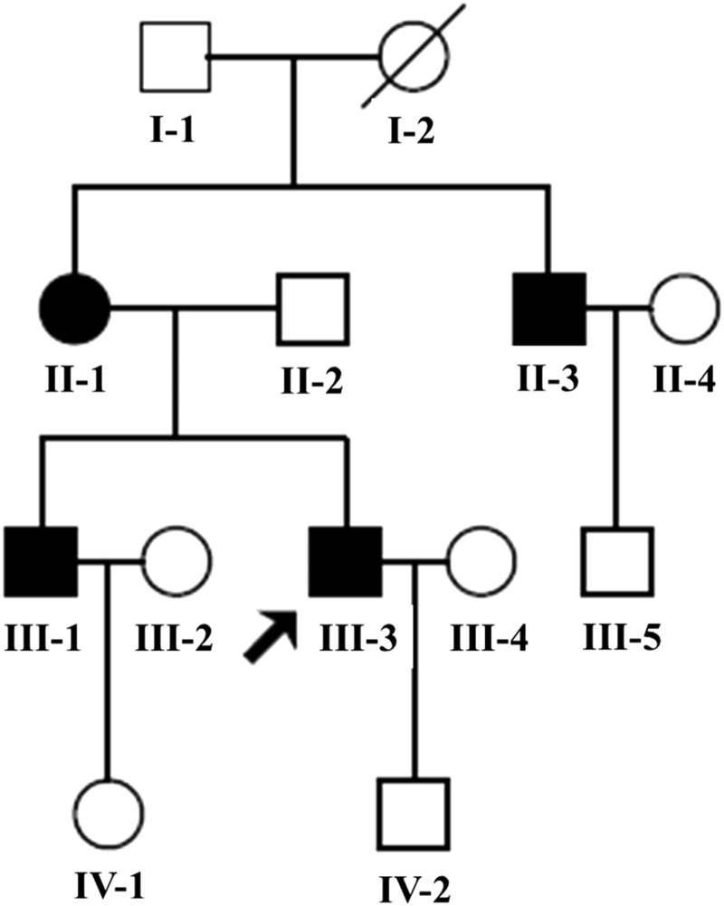 Figure 1