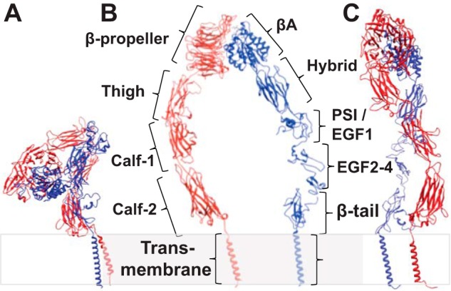 FIGURE 1.