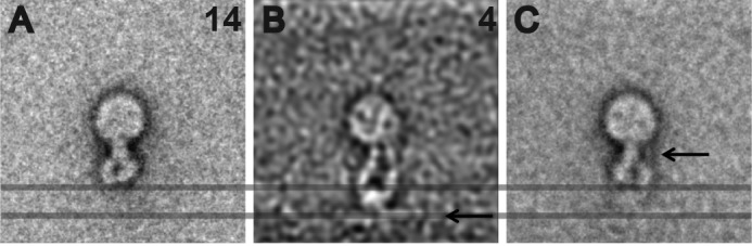 FIGURE 6.