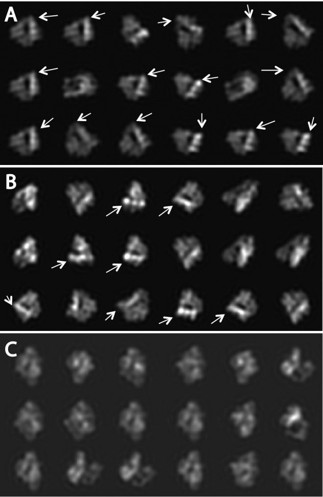 FIGURE 4.