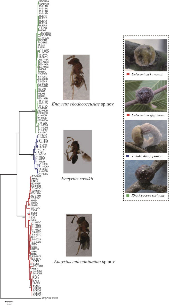 Figure 5