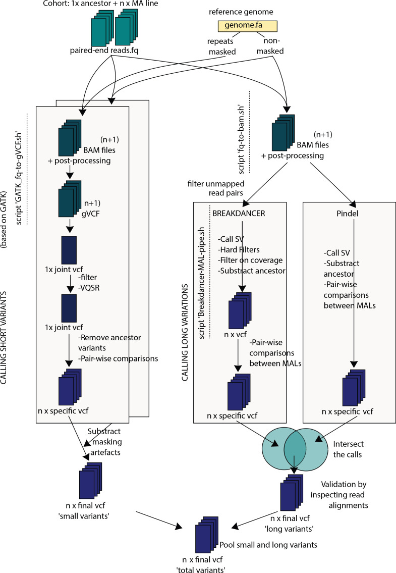 Figure 3—figure supplement 1.