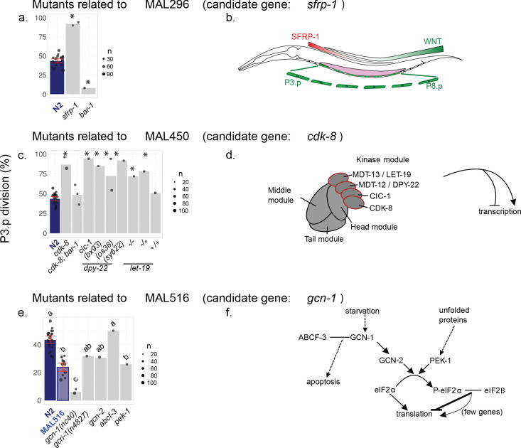 Figure 4—figure supplement 2.