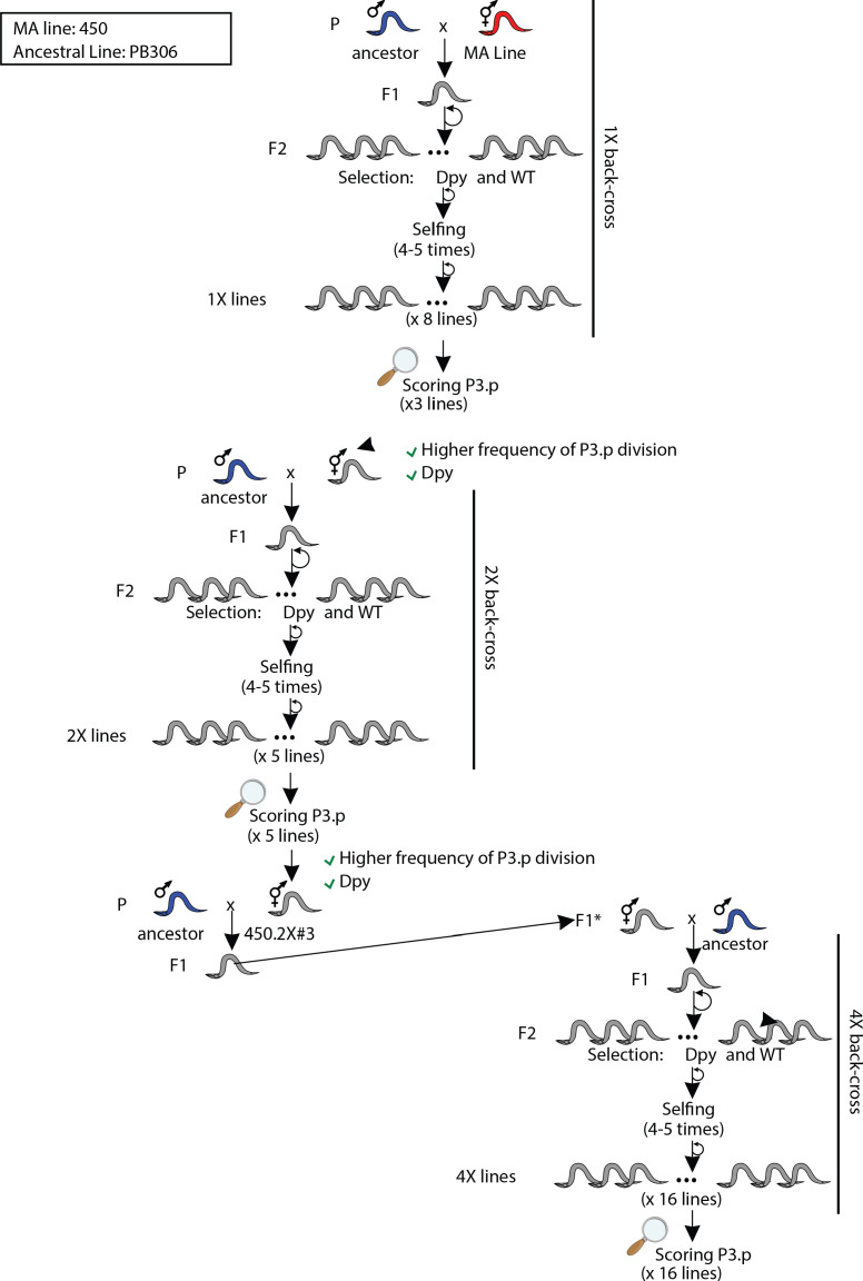 Figure 3—figure supplement 6.