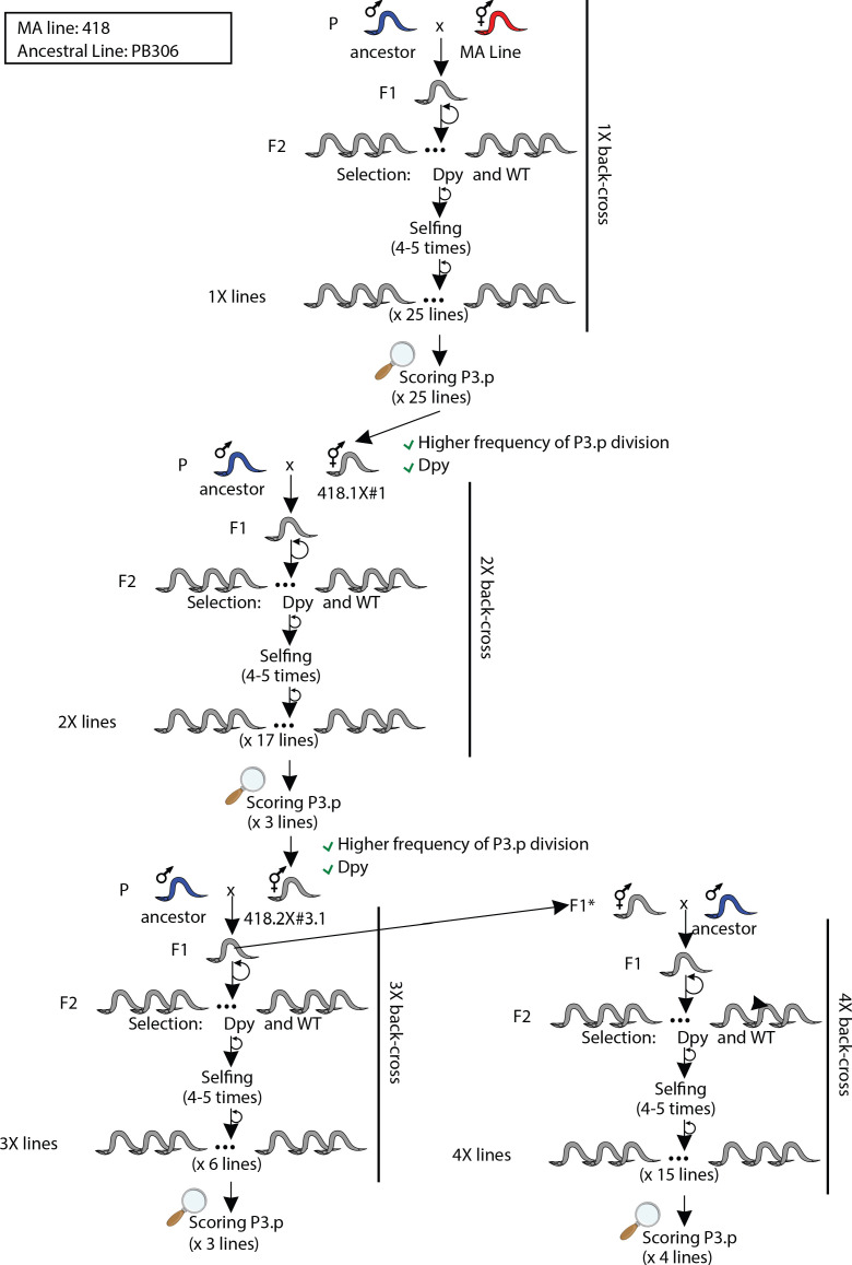 Figure 3—figure supplement 5.