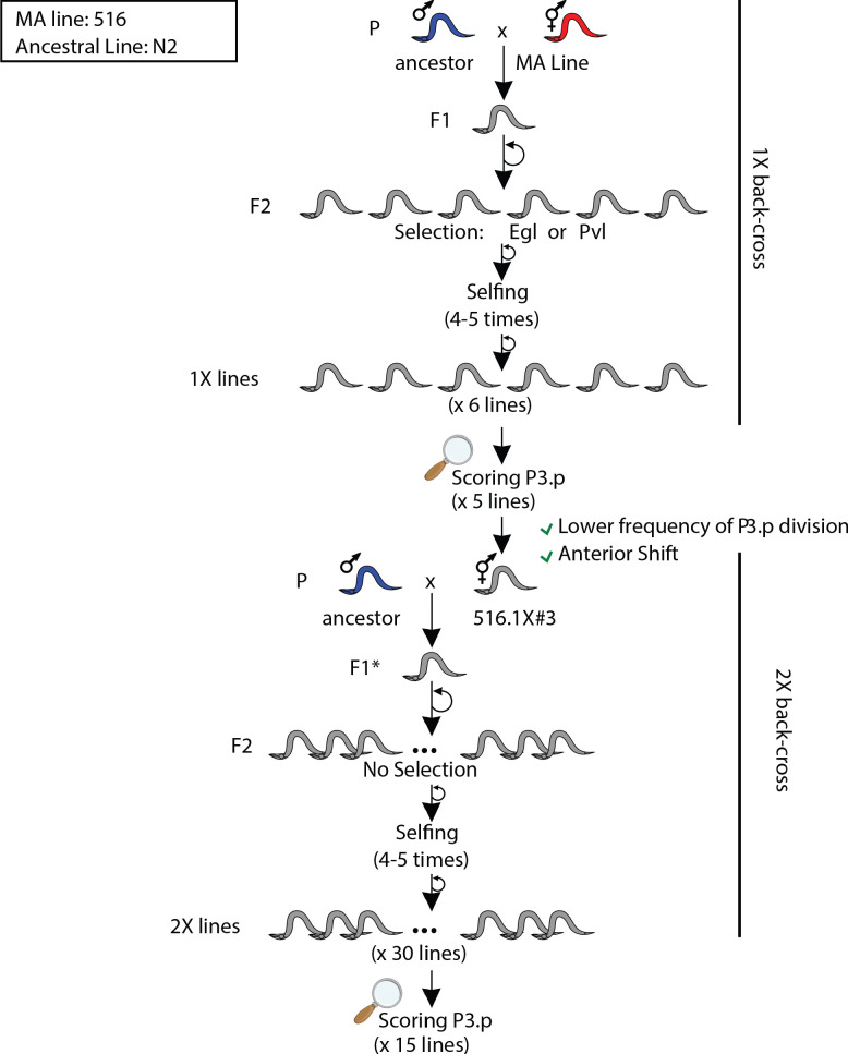 Figure 3—figure supplement 8.