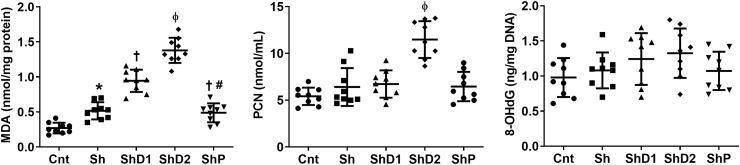 Fig. 7