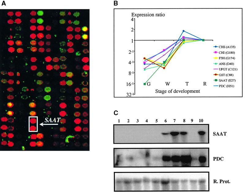 Figure 4.