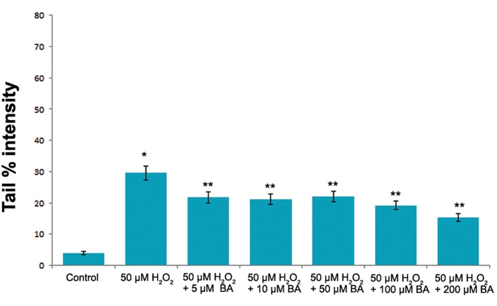 Fig.3