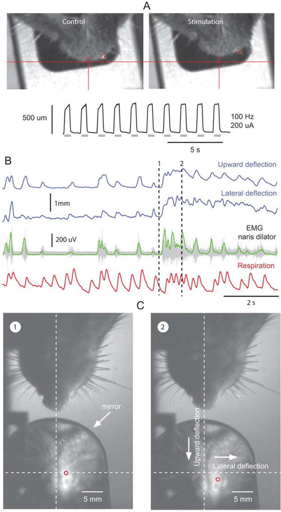 Fig. 3