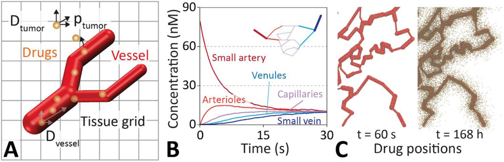 Figure 1 ∣