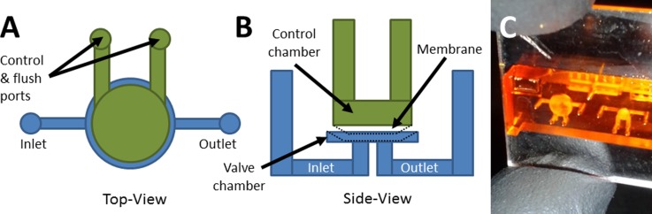 FIG. 1.