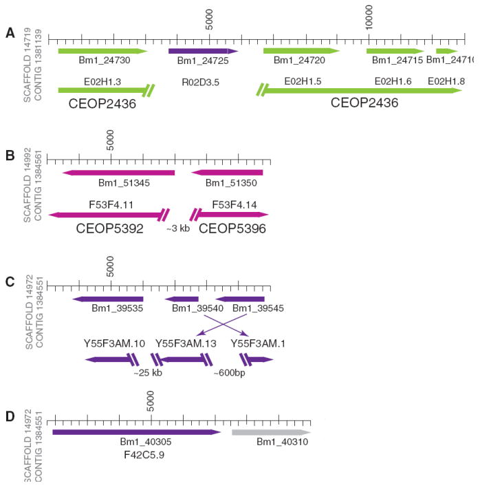 Fig. 2