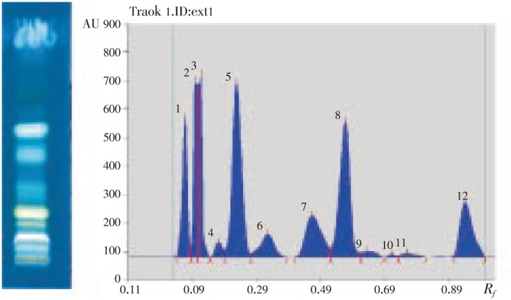 Figure 7.