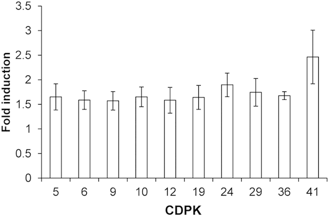 Figure 5