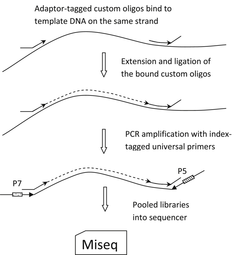 Figure 1