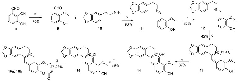 Scheme 2