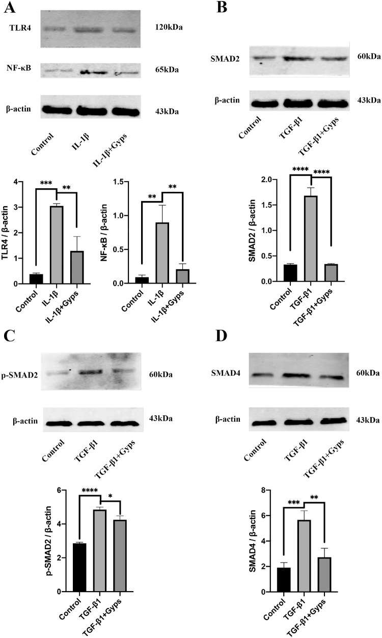 Figure 10.