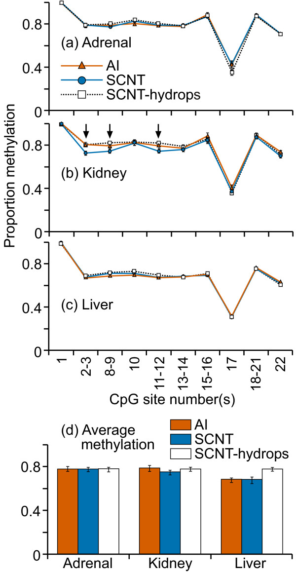 Figure 13