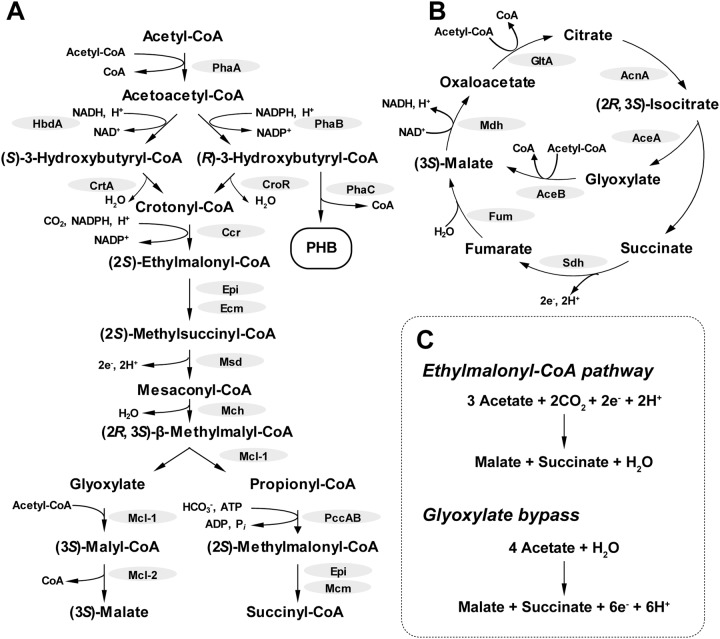 FIG 1