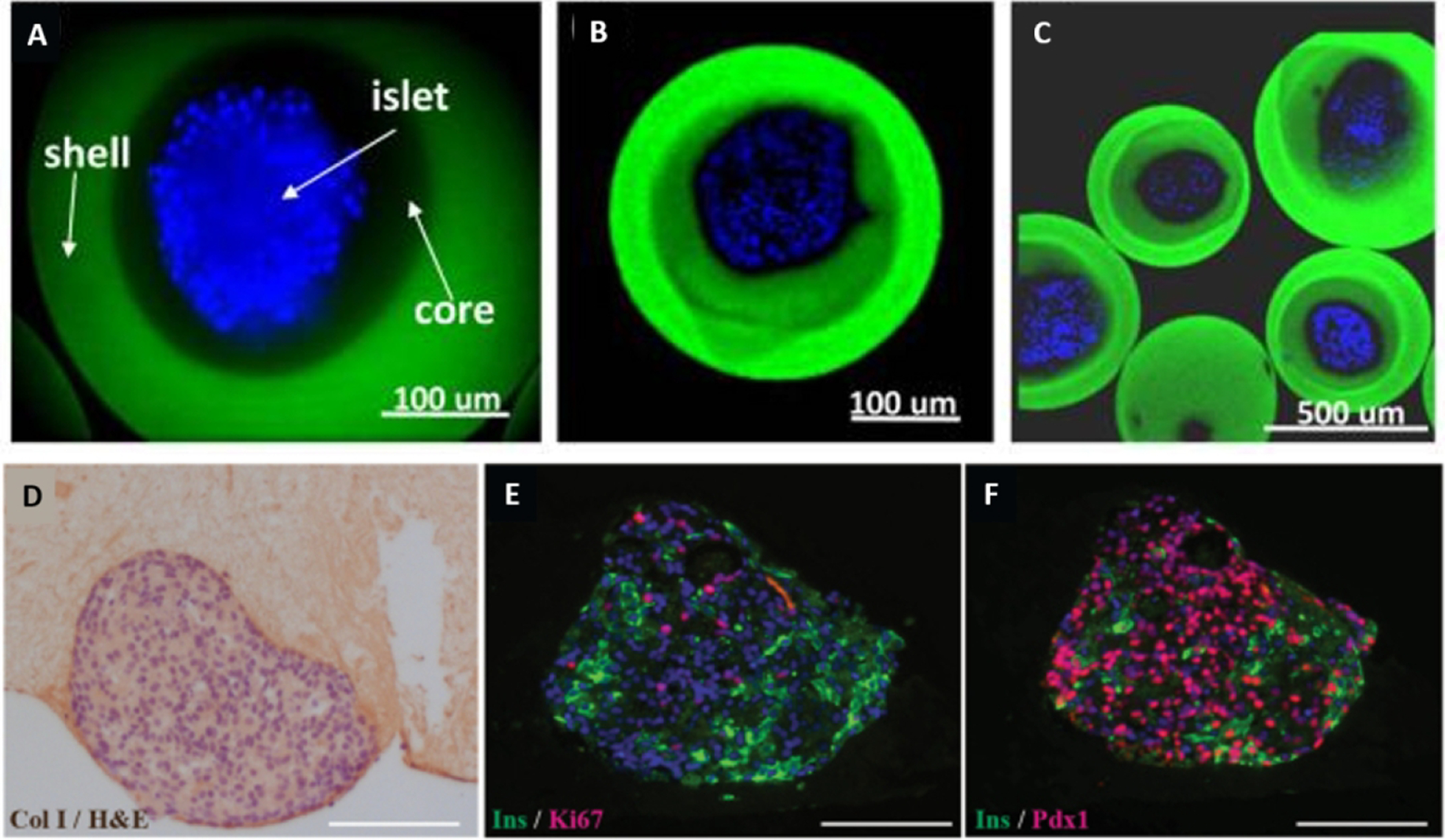 Figure 14.